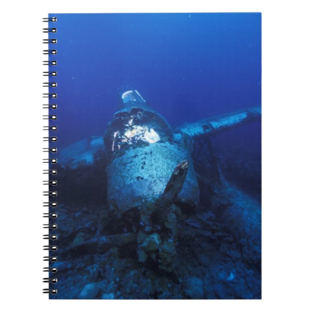 Carnet Micronésie, Palaos, site du patrimoine mondial. 2è (Devant)