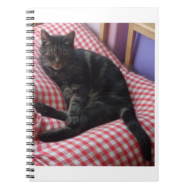 Carnet mignon Dave Spiral (Devant)