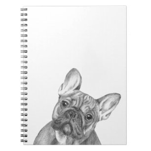 Carnet mignon de bouledogue français