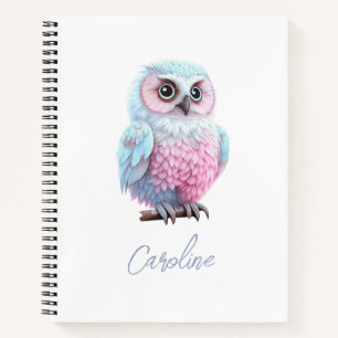 Carnet Mignon Hibou de Dessin Animé Rose et Bleu Pastel