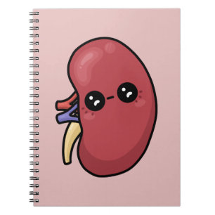 Carnet Mignon Rein - Biologie Humaine
