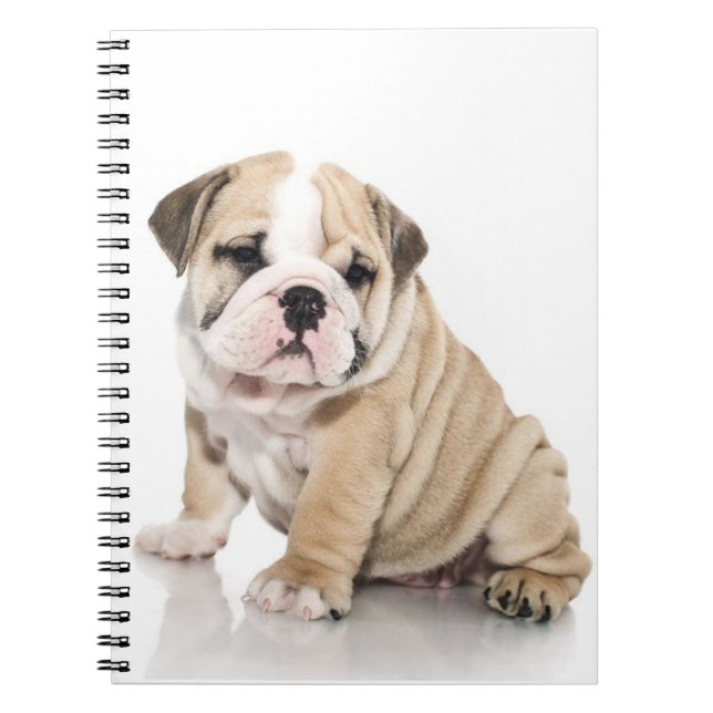 Carnet Mignonne Chien-taupe Chien Triste (Devant)