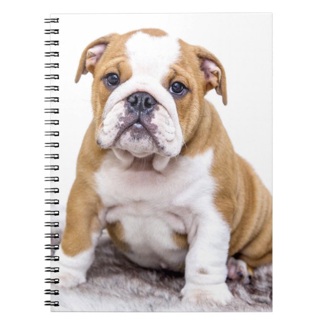 Carnet Mignonne chiot Bulldog assis (Devant)