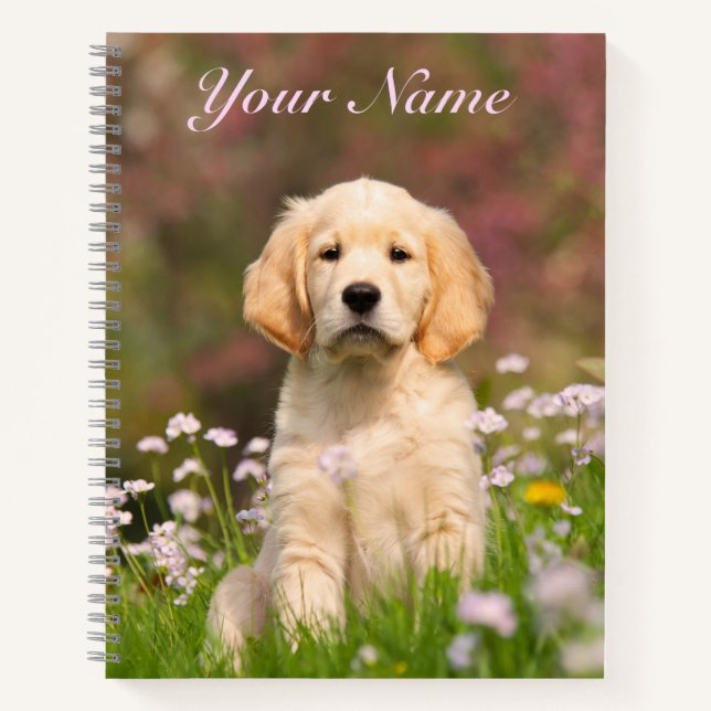 Carnet Mignonne Golden Retriever Chien Chiot Animal Visag (Devant)
