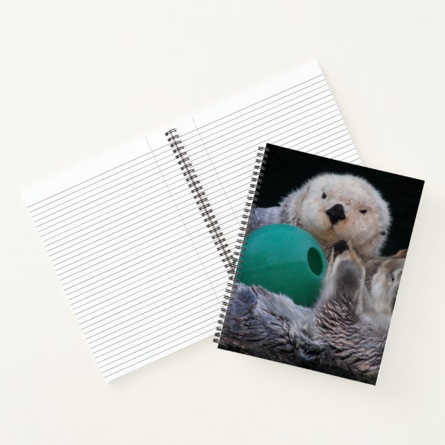 Carnet Mignons loutres de mer joueurs (Intérieur)