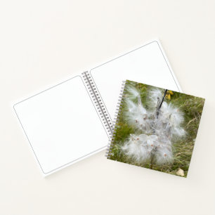 Carnet Milkweed Papillon Croquis