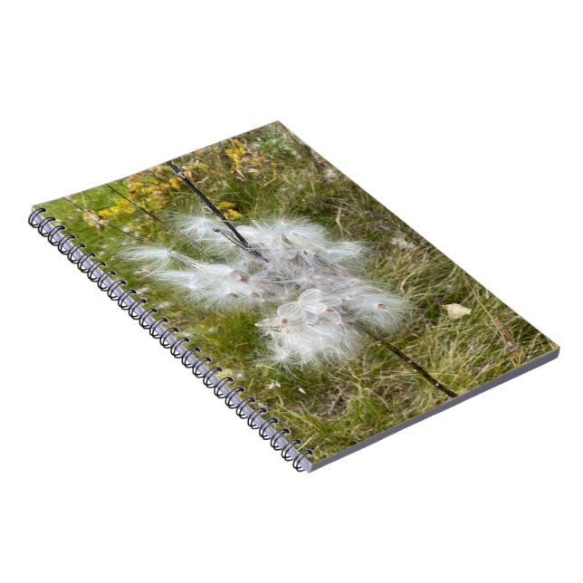 Carnet Milkweed | Papillon | Spirale (Côté Droit)