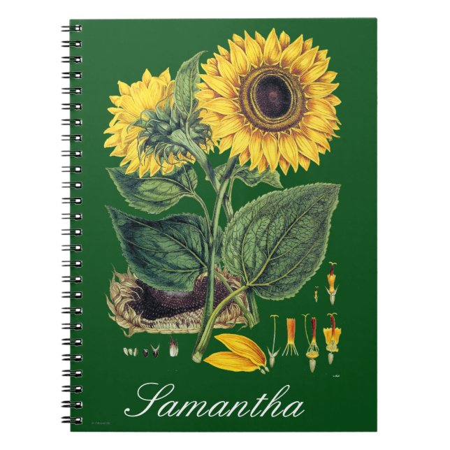 Carnet Miller : Tournesol (Devant)
