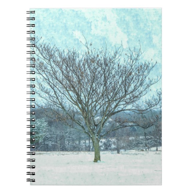 Carnet Mimosa d'hiver (Devant)
