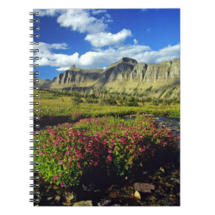 Carnet Mimulus de Logan Pass dans le parc national de Gla
