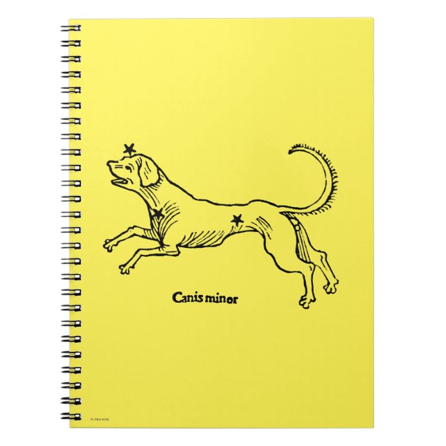 Carnet Mineur de Canis, 1482 (Devant)