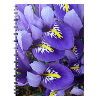 Carnet Miniature Bleu Irises Printemps Floral
