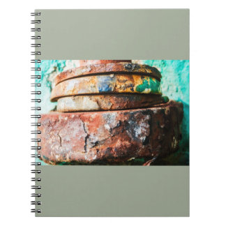 Carnet mixal