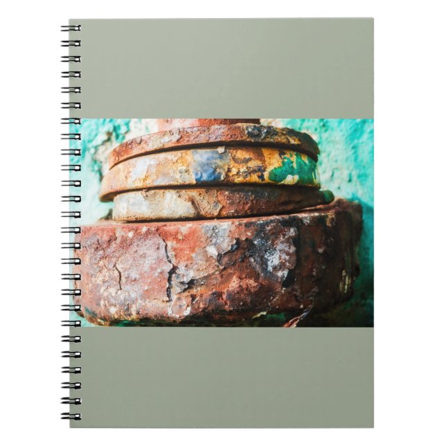 Carnet mixal (Devant)