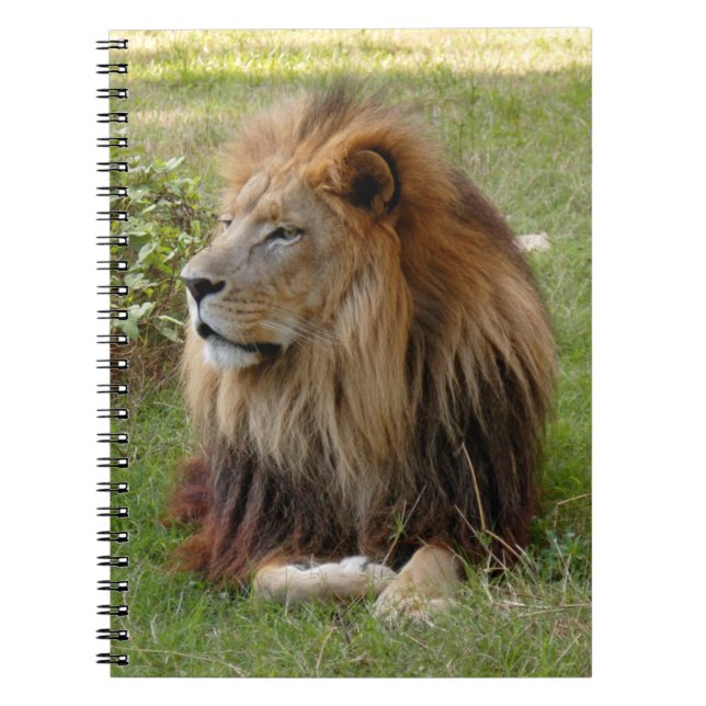 Carnet Modèle-Carnet (8x10) (Devant)