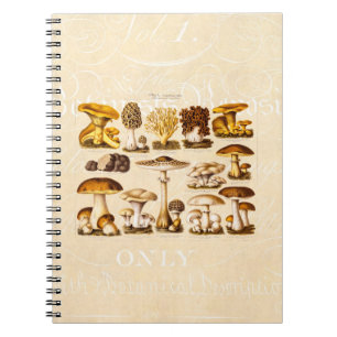 Carnet Modèle vintage de champignons de variété de