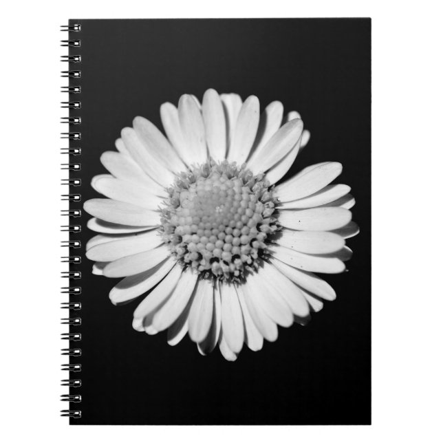 Carnet Moderne et élégant Grand Fleur marguerite noir et  (Devant)
