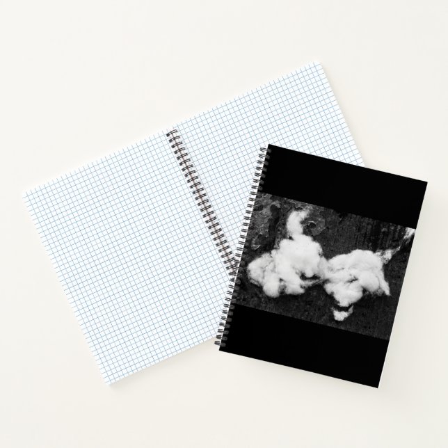 carnet moelleux (Intérieur)