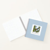 Moineau à couronne blanche – Photographie d'art or