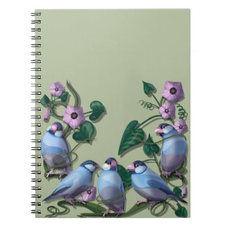 Carnet Moineaux de Java 