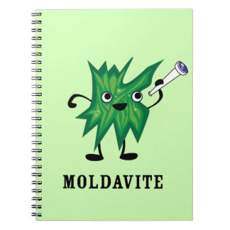 Carnet Moldavite