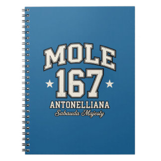 Carnet Mole Antonelliana - Majesté Sabauda Vintage Varsit
