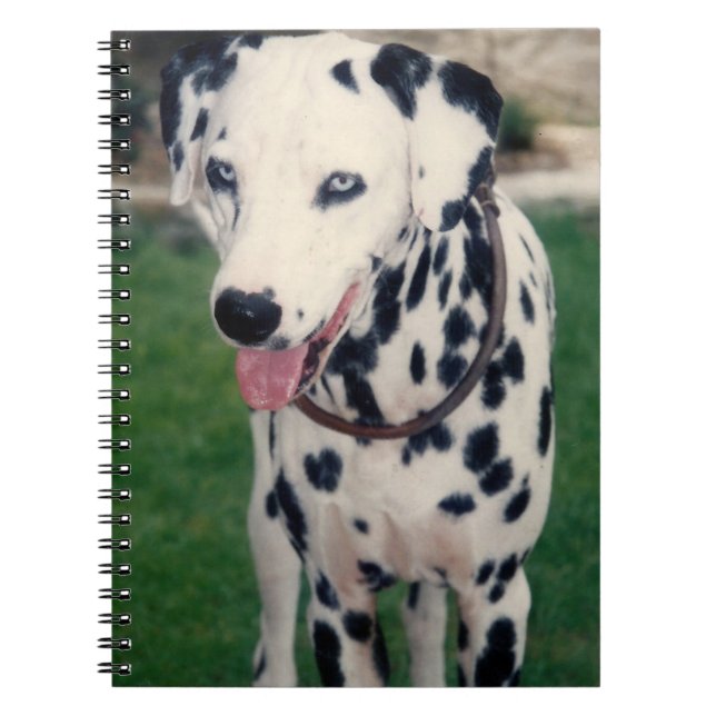 Carnet Mon ami animal de compagnie Dalmatie Chien personn (Devant)
