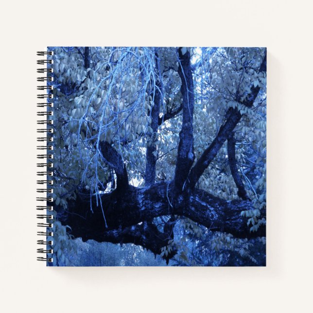 Carnet Mon Hiver bleu.... (Devant)