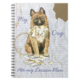 Carnet Mon Laekenois Met Mon Plan De Leçon
