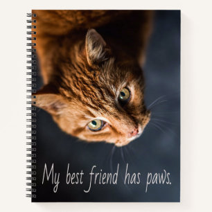 Carnet Mon meilleur ami a des pattes, Chat Chaton Mignon