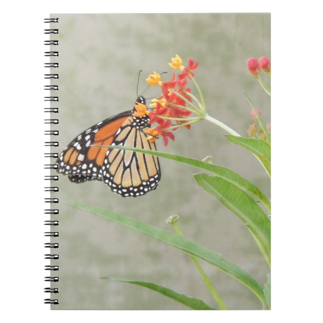 Carnet Monarch Butterfly et Caterpillar (Devant)