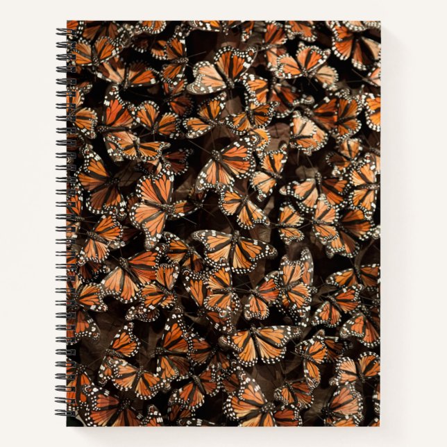 Carnet Monarque Butterflies (Devant)