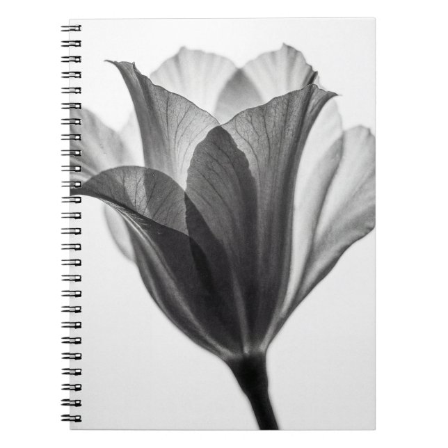 Carnet Monochrome botanical fine art photograph (Devant)