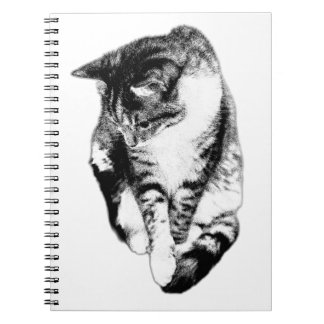 Carnet monochrome Tabby Cat