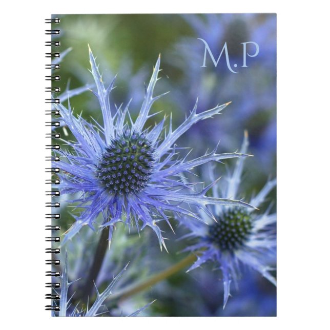 Carnet Monogramme Chardon Holly de Mer (Devant)