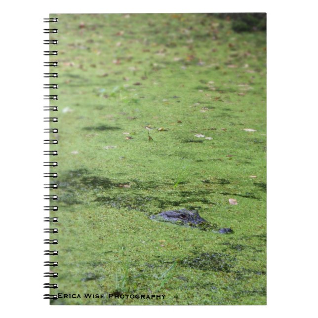 Carnet Monstre de marais (Devant)
