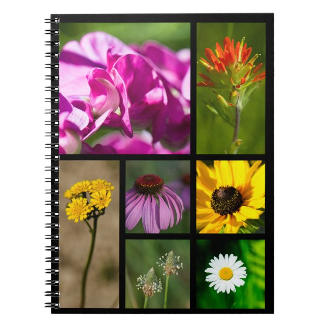 Carnet Montage Fleurs sauvages du Michigan (Devant)