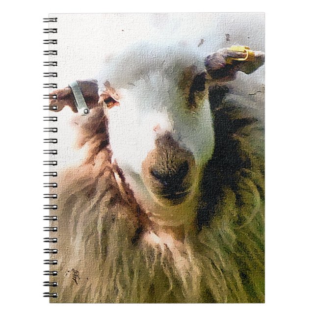 CARNET MOQUETTE (Devant)