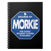 Morkie-Sécurité-Bleu