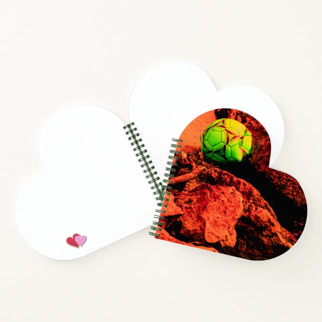 Carnet mosquitus (Intérieur)