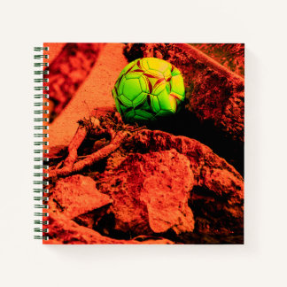 Carnet mosquitus