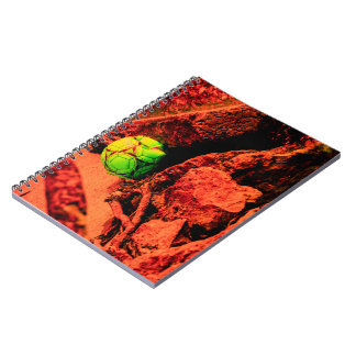 Carnet mosquitus