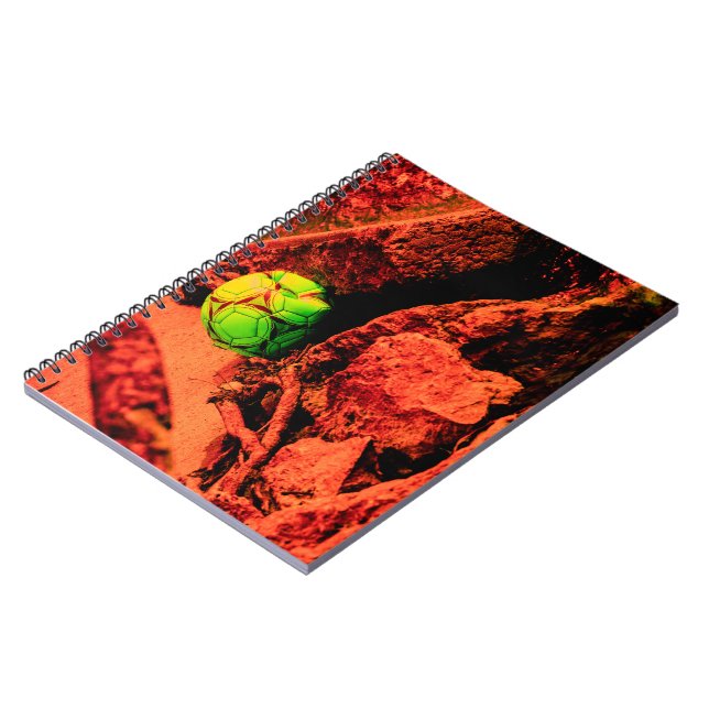 Carnet mosquitus (Côté gauche)