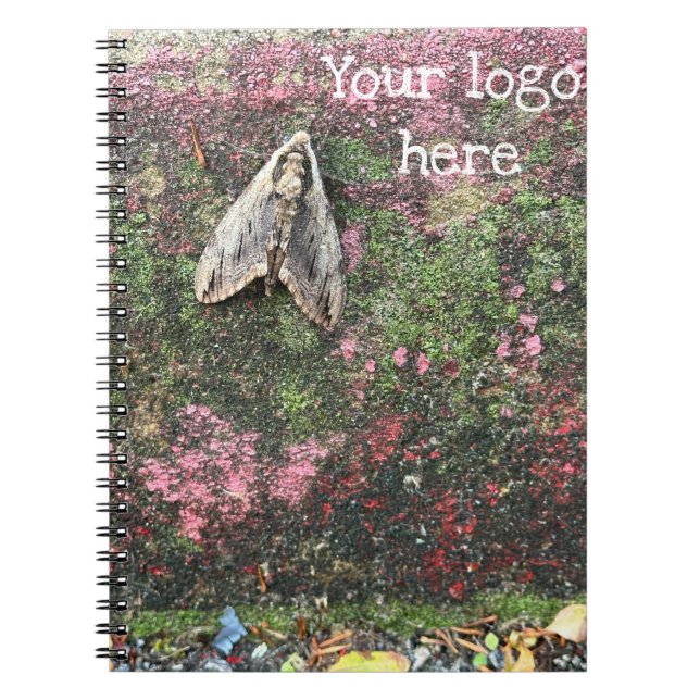 Carnet Moth inspirée par la nature (Devant)