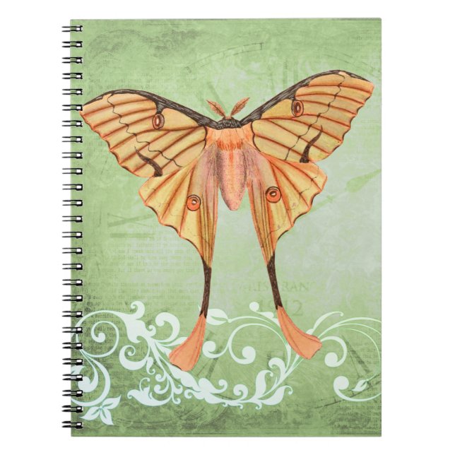 Carnet Moth soie africaine (Devant)