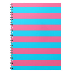 Carnet Motif à rayures roses et bleues