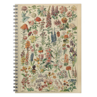 Carnet Motif Adolphe Millot Fleurs
