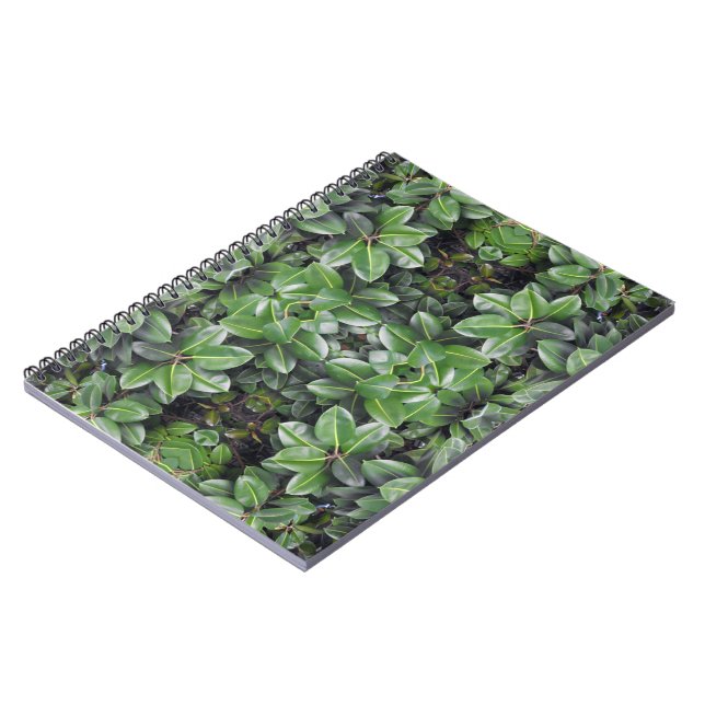 Carnet Motif de feuille d'hévéa (Côté gauche)