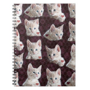 Carnet Motif de visages de chat de Kitty avec l'image de