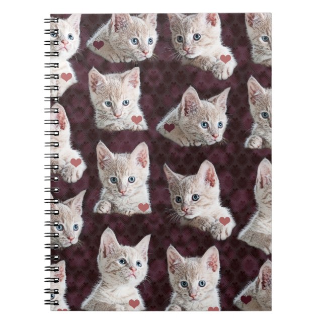 Carnet Motif de visages de chat de Kitty avec l'image de (Devant)
